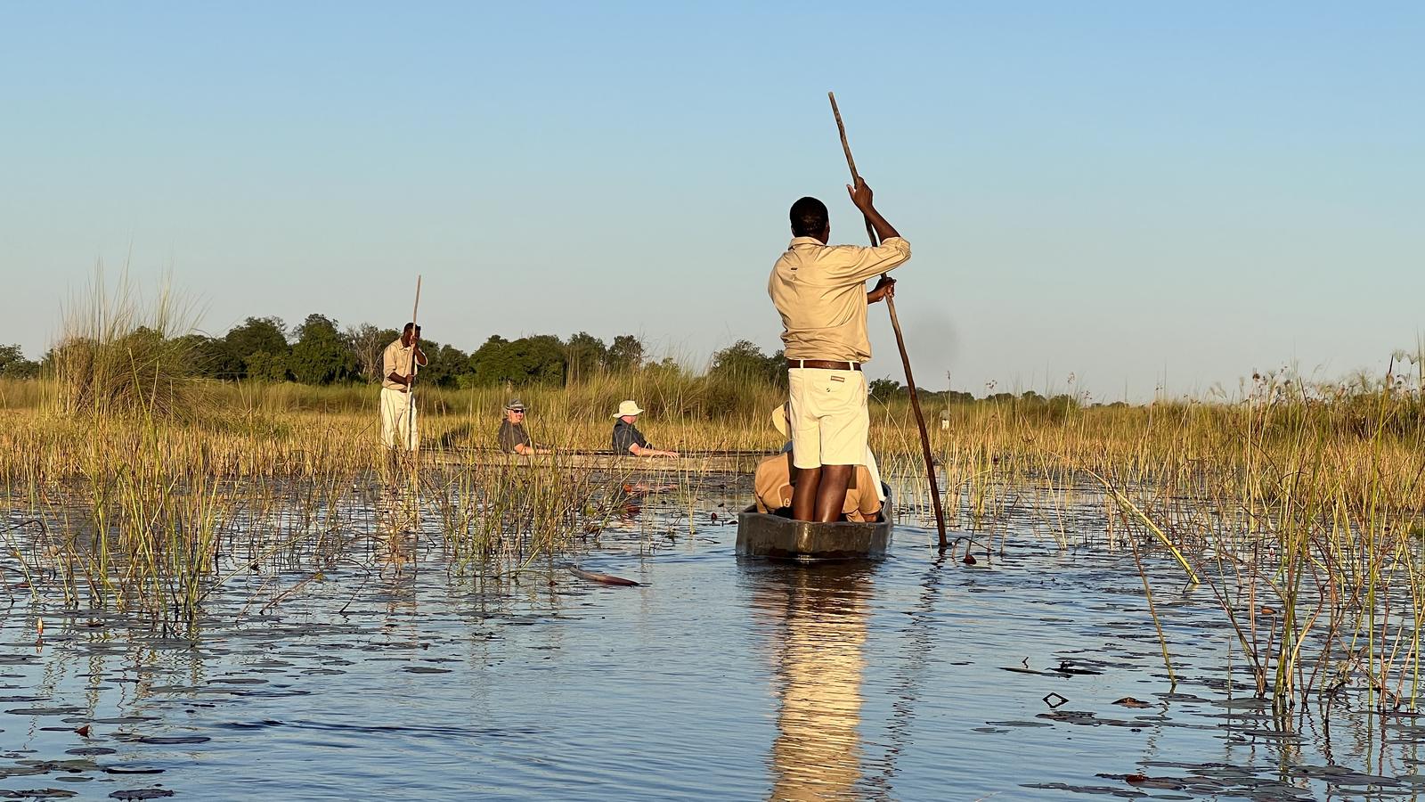 Mokoro guides in the Okavango Delta